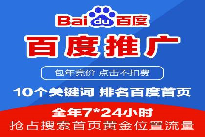 SEM推广策略：成功案例解析